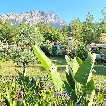 Beysvillas - G Villa *