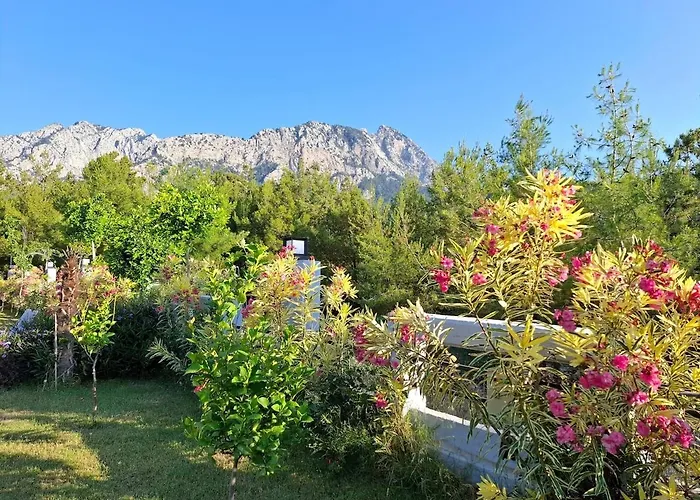 Beysvillas - G Villa *