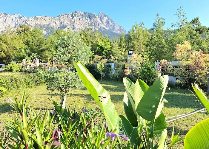Beysvillas - G Villa *