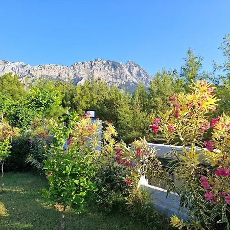 Beysvillas - G Villa *
